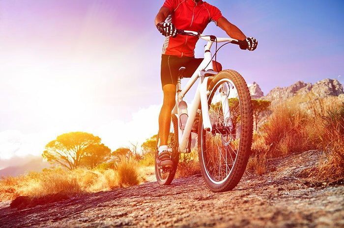 Cyclist riding mountain bike Wall Mural Wallpaper