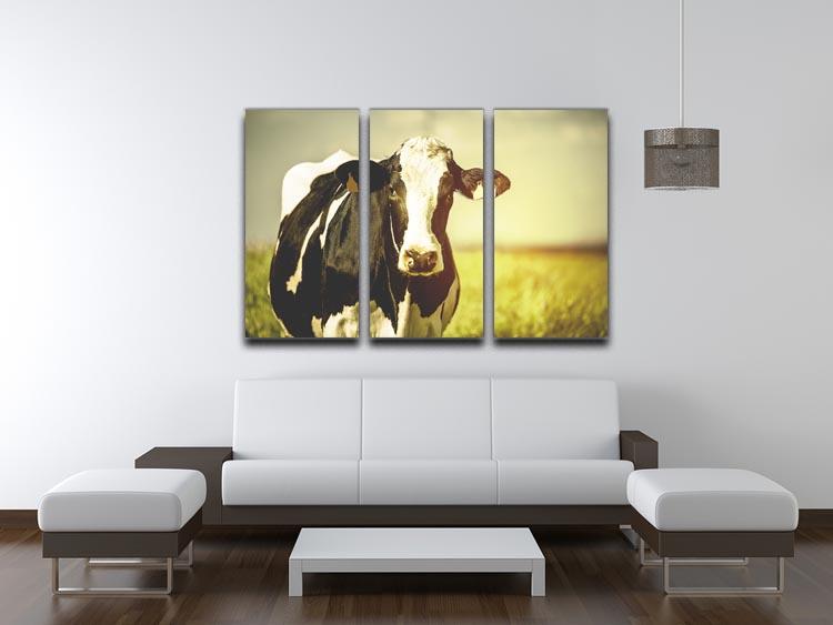 Dairy cow on the countryside 3 Split Panel Canvas Print - Canvas Art Rocks - 3