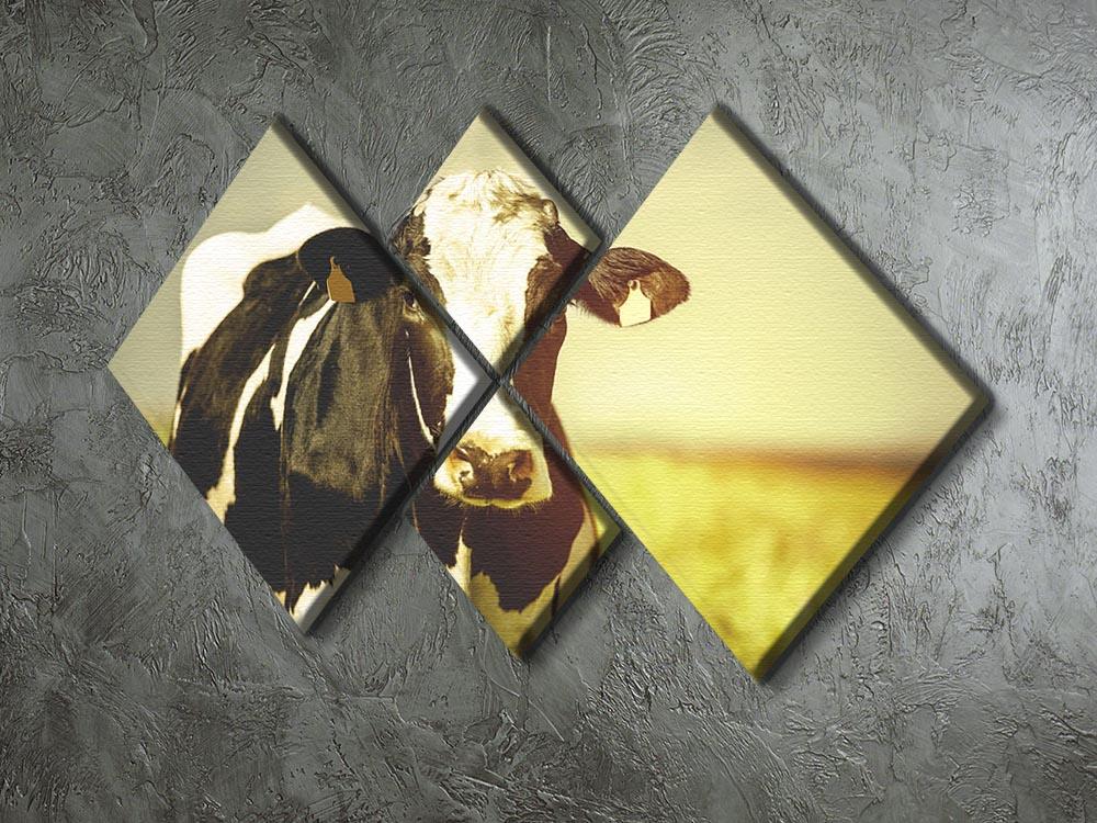 Dairy cow on the countryside 4 Square Multi Panel Canvas - Canvas Art Rocks - 2