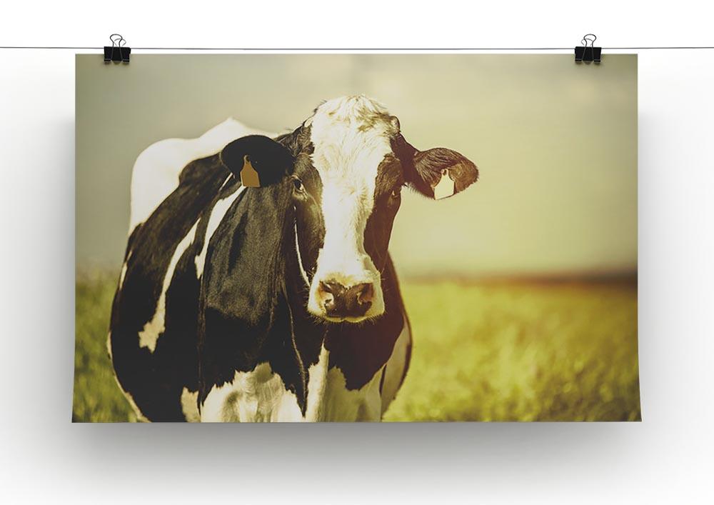 Dairy cow on the countryside Canvas Print or Poster - Canvas Art Rocks - 2