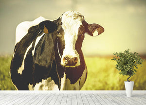Dairy cow on the countryside Wall Mural Wallpaper - Canvas Art Rocks - 4