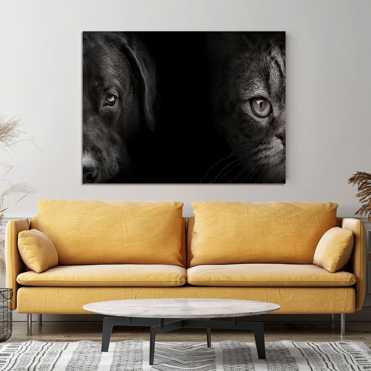 Dark muzzle labrador dog and cat Canvas Print or Poster