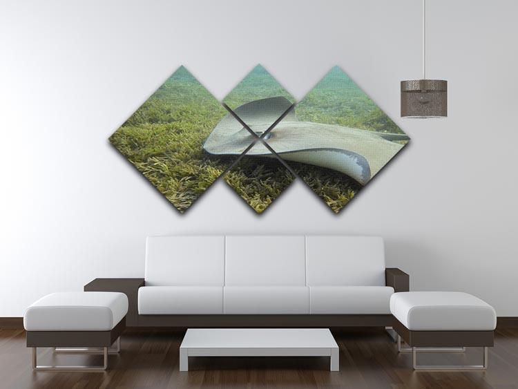 Darkspotted stingray 4 Square Multi Panel Canvas  - Canvas Art Rocks - 3