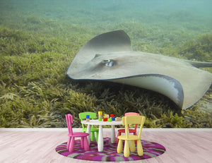Darkspotted stingray Wall Mural Wallpaper - Canvas Art Rocks - 2