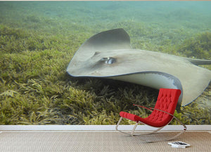 Darkspotted stingray Wall Mural Wallpaper - Canvas Art Rocks - 3