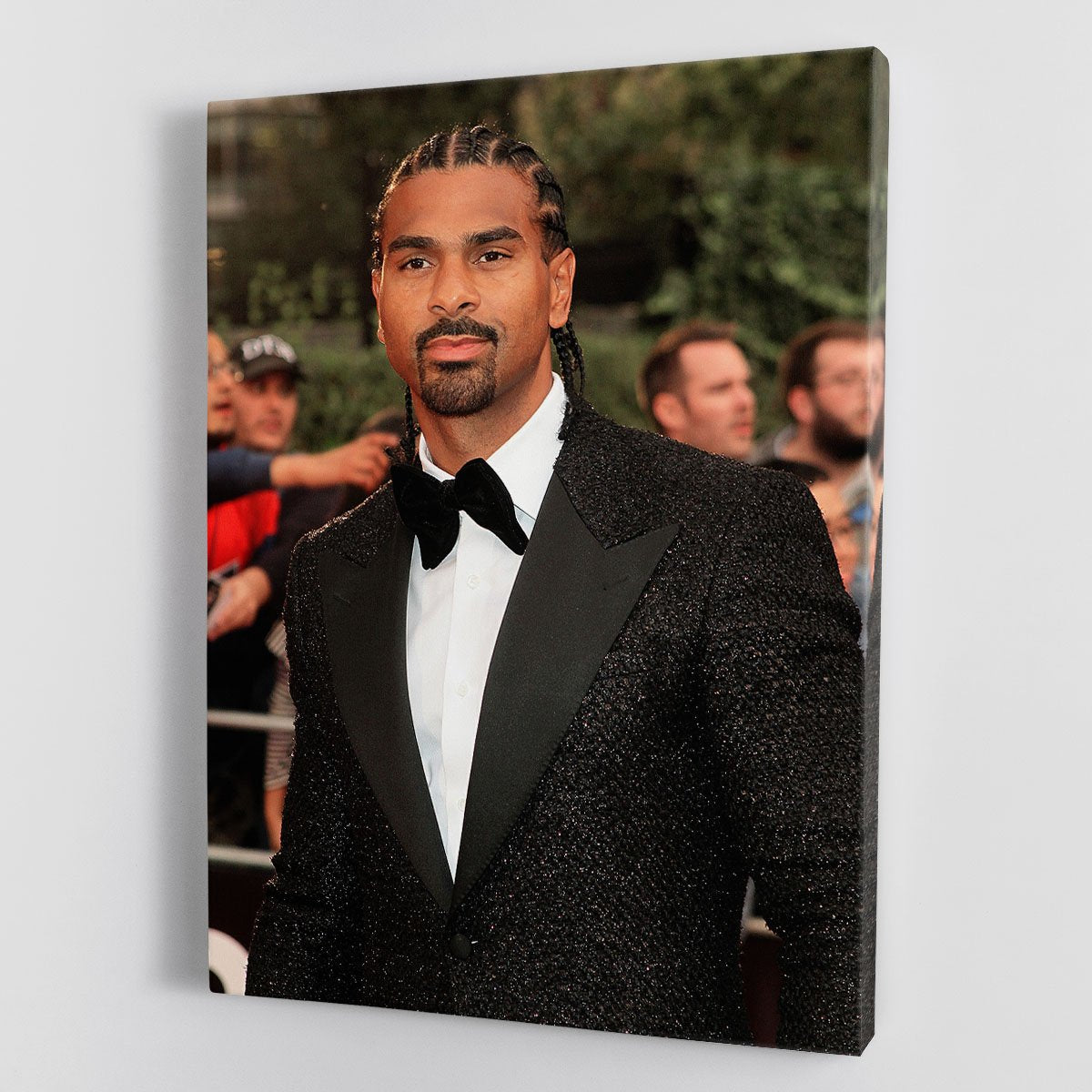 David Haye Canvas Print or Poster