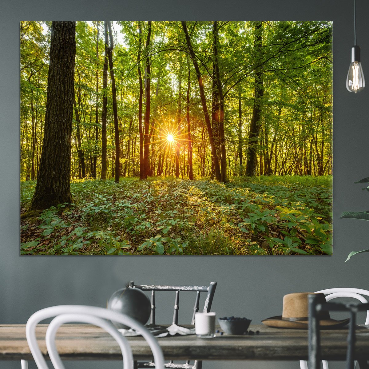 Dawn in the forest of Bavaria Canvas Print or Poster