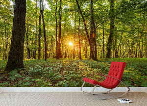 Dawn in the forest of Bavaria Wall Mural Wallpaper - Canvas Art Rocks - 2