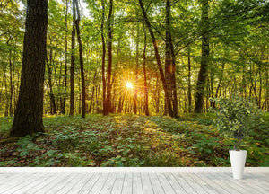 Dawn in the forest of Bavaria Wall Mural Wallpaper - Canvas Art Rocks - 4