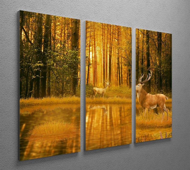 Deer Bucks in summer sunset 3 Split Panel Canvas Print - Canvas Art Rocks - 2