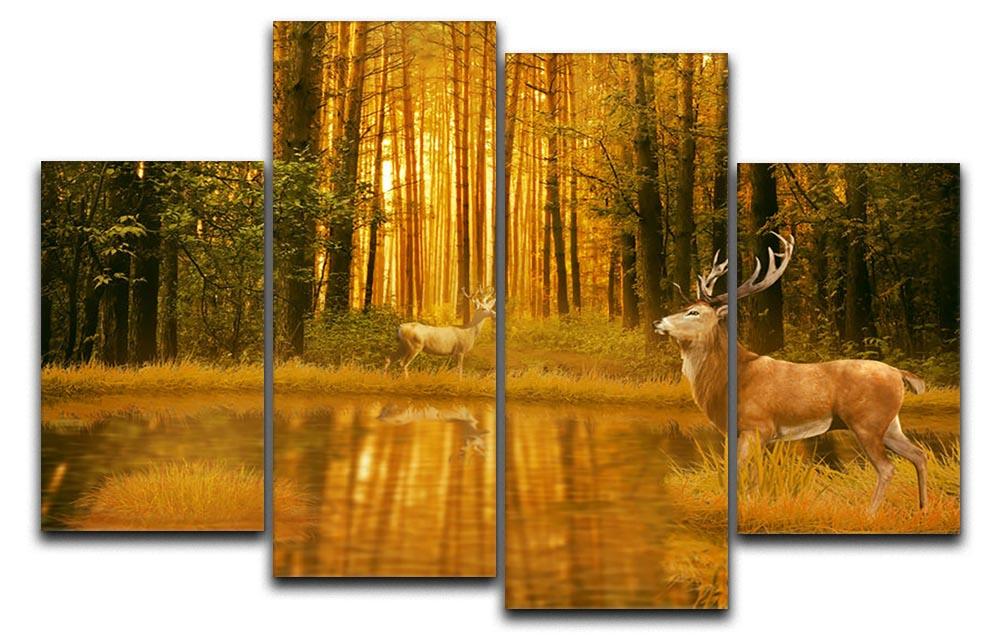 Deer Bucks in summer sunset 4 Split Panel Canvas - Canvas Art Rocks - 1