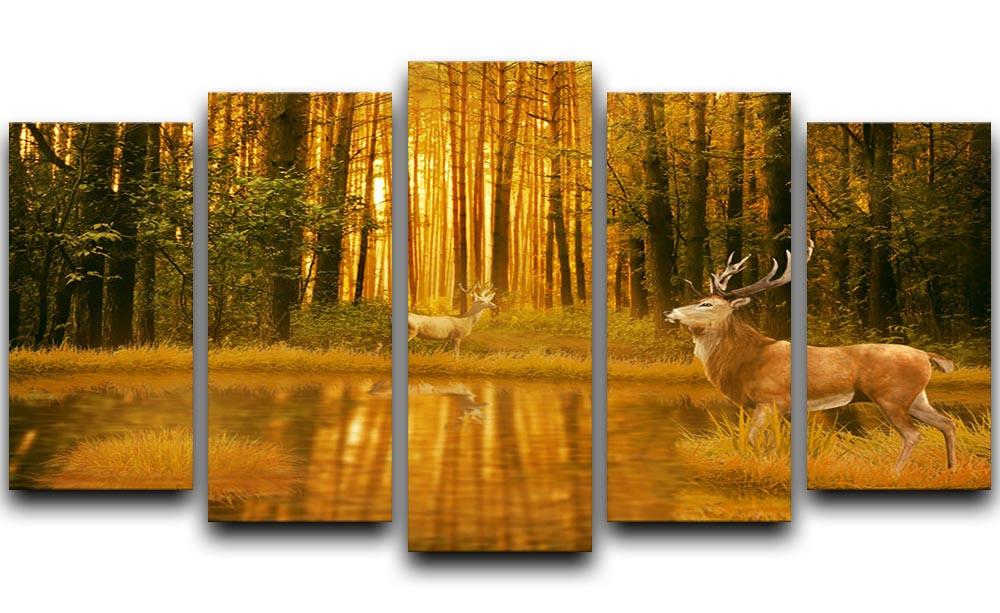 Deer Bucks in summer sunset 5 Split Panel Canvas - Canvas Art Rocks - 1
