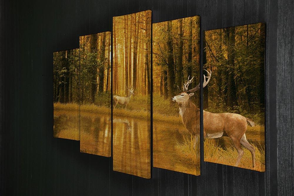 Deer Bucks in summer sunset 5 Split Panel Canvas - Canvas Art Rocks - 2