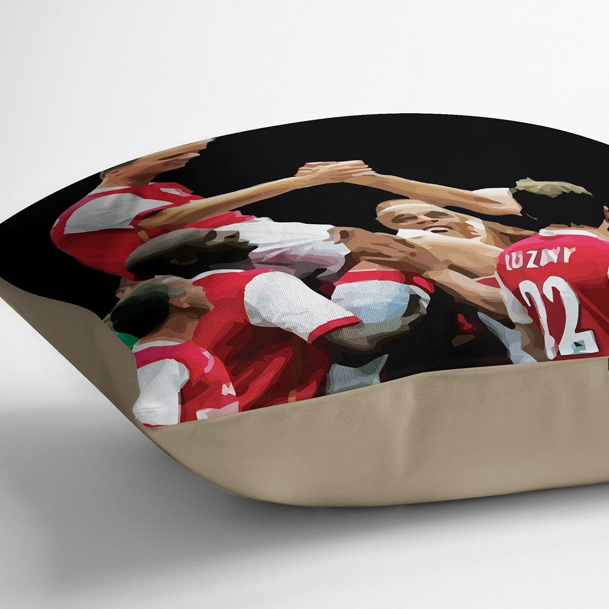 Dennis Bergkamp Testimonial Cushion