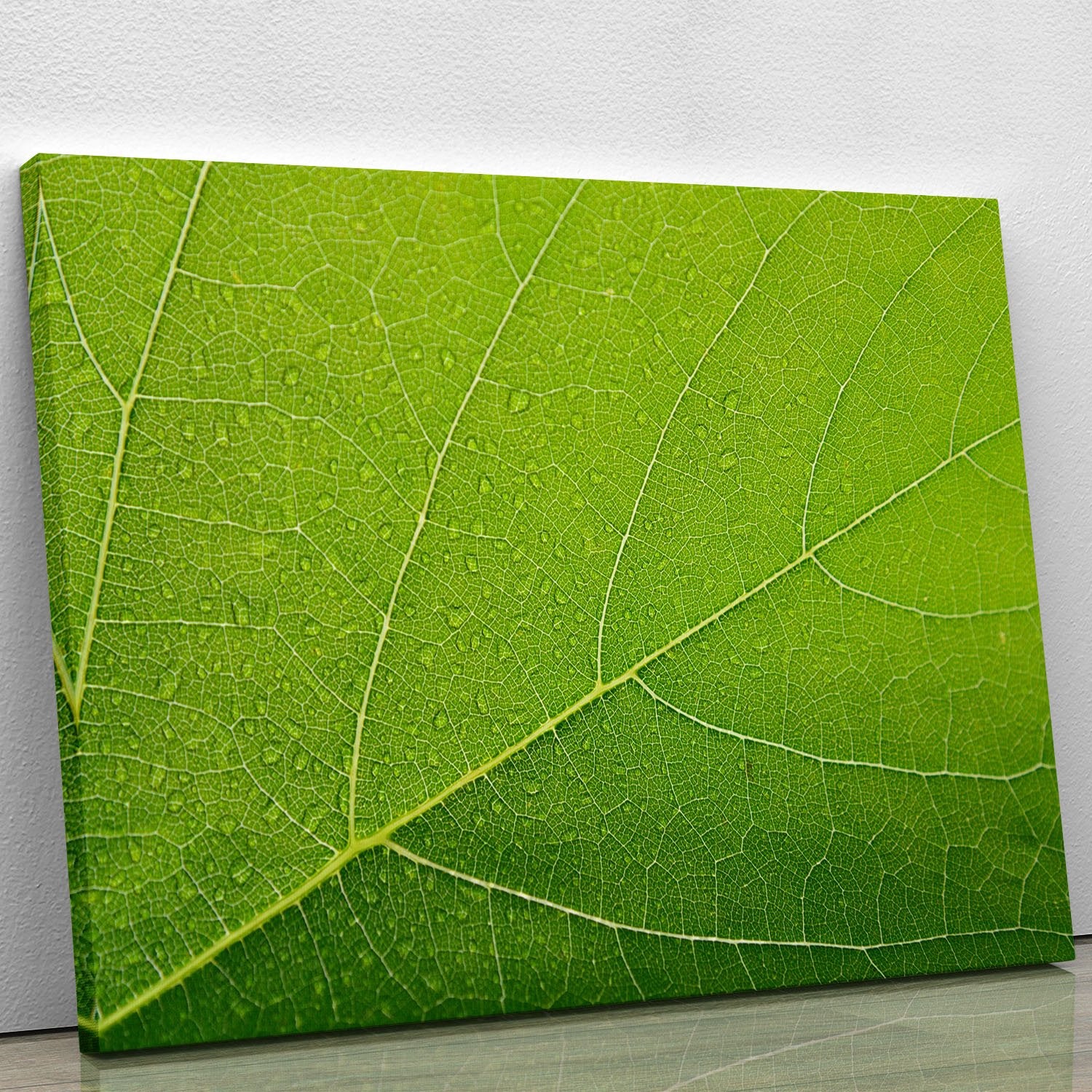 Detailed Wet Leaf Canvas Print or Poster