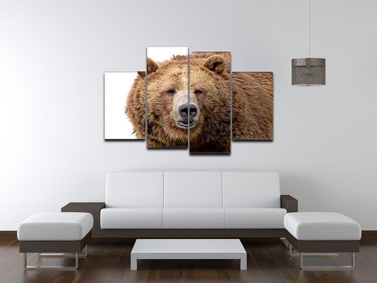 Detailed close-up portrait of a magnificent grizzly brown bear 4 Split Panel Canvas - Canvas Art Rocks - 3