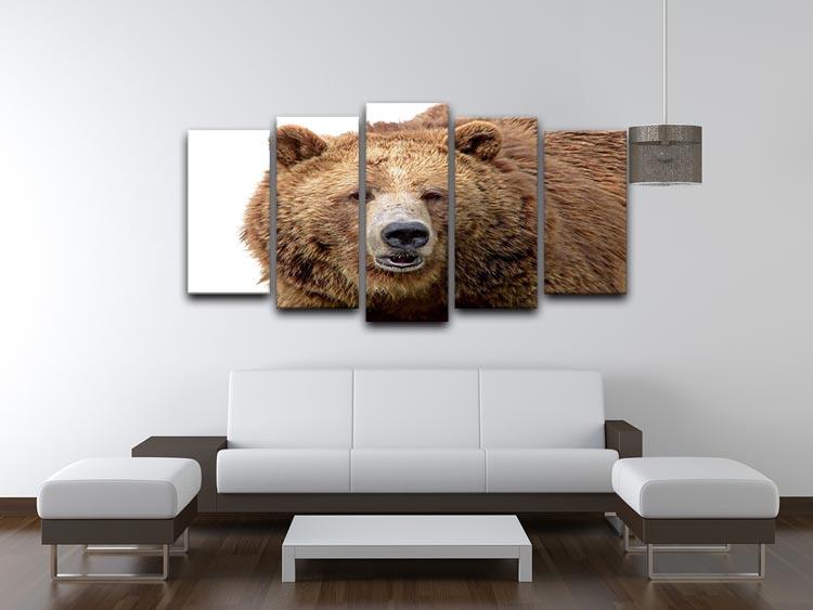 Detailed close-up portrait of a magnificent grizzly brown bear 5 Split Panel Canvas - Canvas Art Rocks - 3