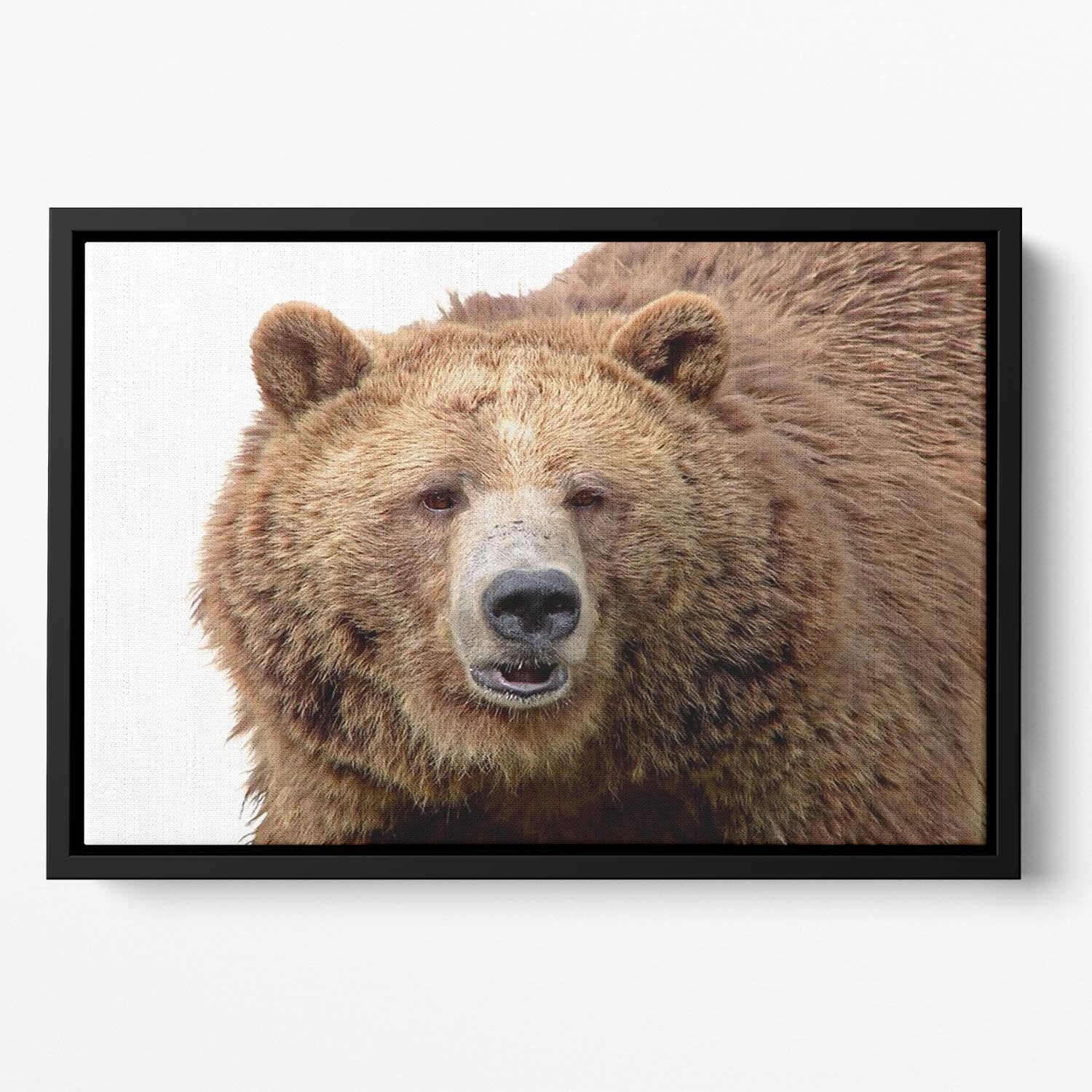 Detailed close-up portrait of a magnificent grizzly brown bear Floating Framed Canvas - Canvas Art Rocks - 2