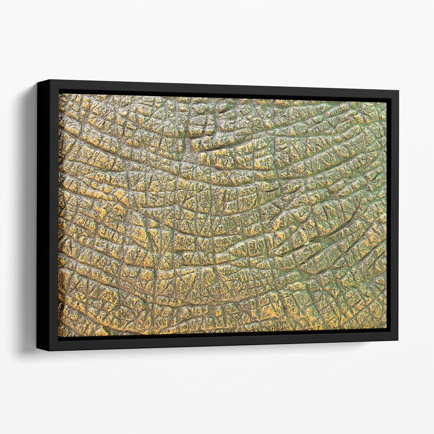 Dinosaur Skin Texture Floating Framed Canvas - Canvas Art Rocks - 1