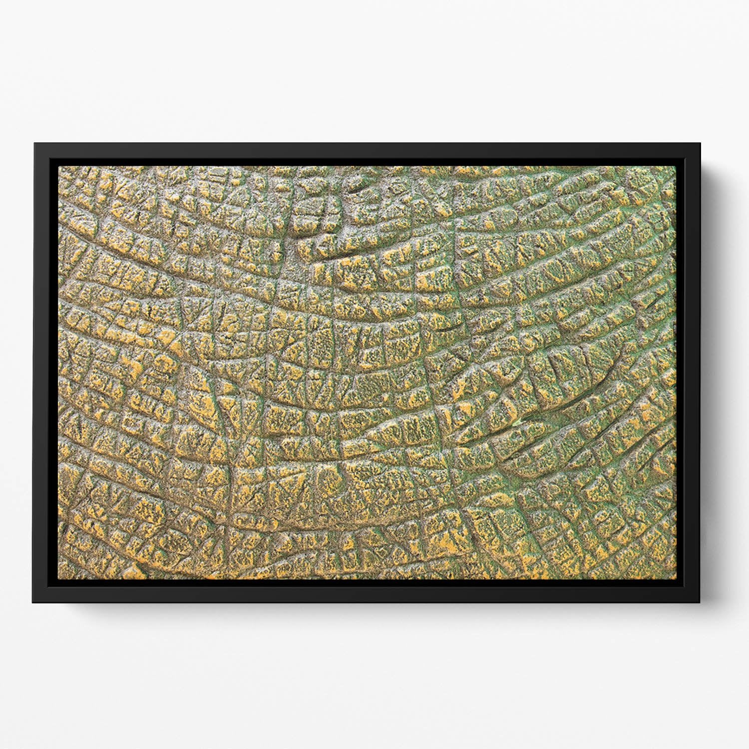 Dinosaur Skin Texture Floating Framed Canvas