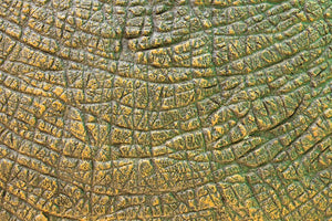 Dinosaur Skin Texture Wall Mural Wallpaper - Canvas Art Rocks - 1
