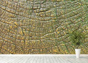 Dinosaur Skin Texture Wall Mural Wallpaper - Canvas Art Rocks - 4