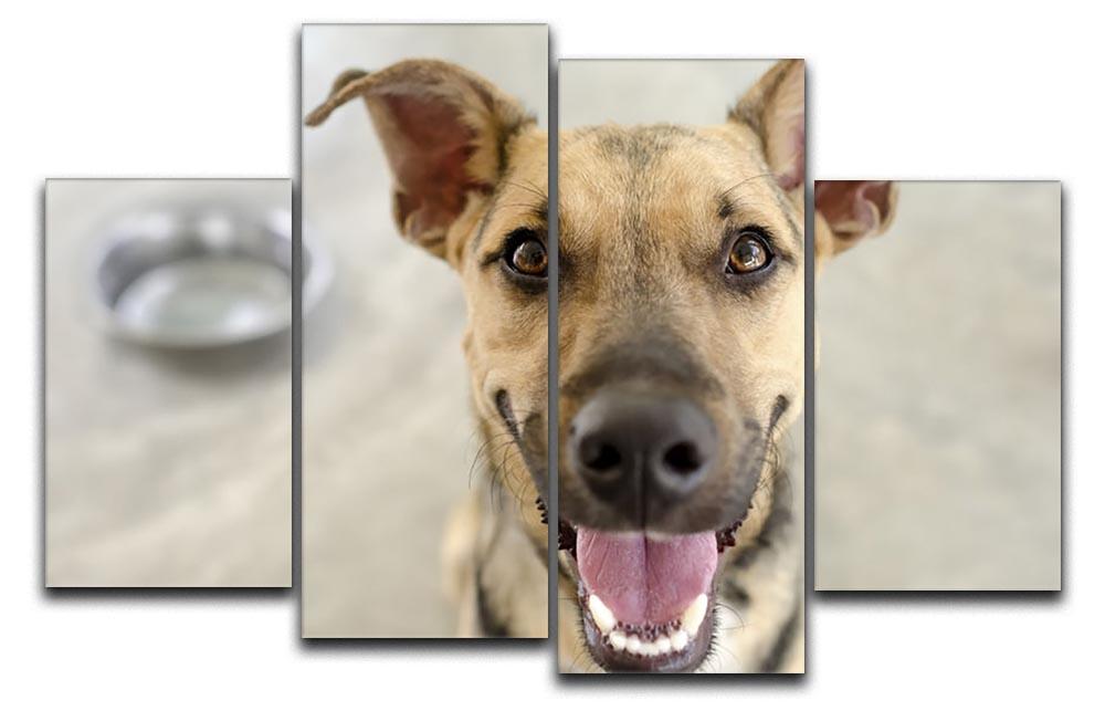 Dog and Bowl 4 Split Panel Canvas - Canvas Art Rocks - 1