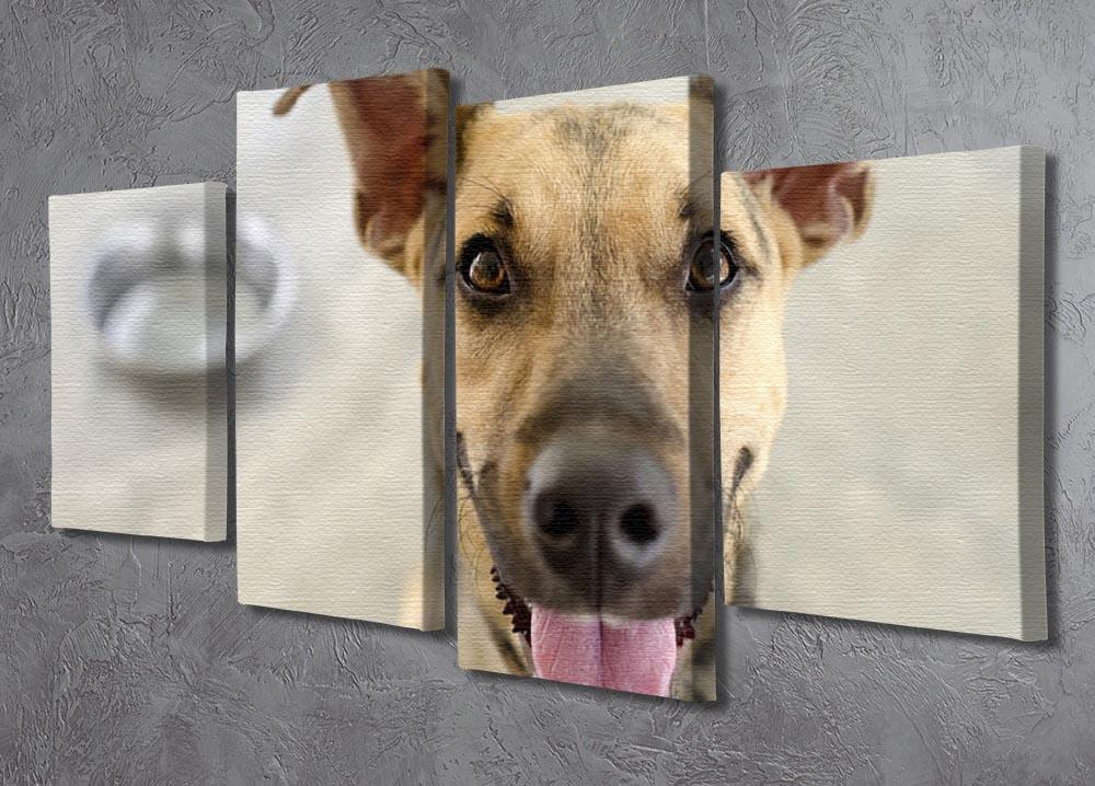 Dog and Bowl 4 Split Panel Canvas - Canvas Art Rocks - 2