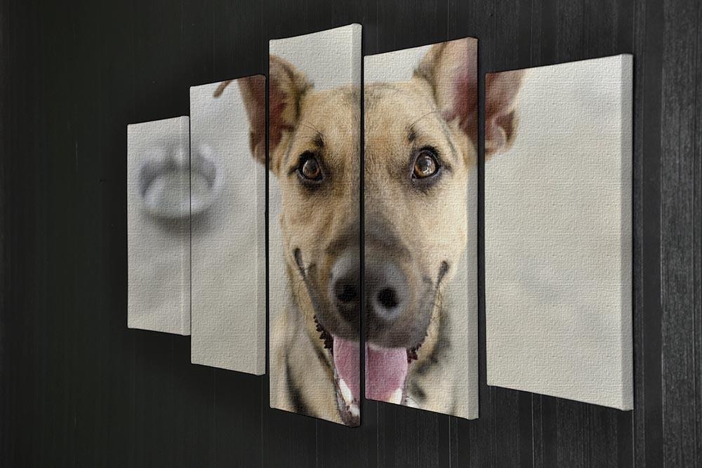 Dog and Bowl 5 Split Panel Canvas - Canvas Art Rocks - 2