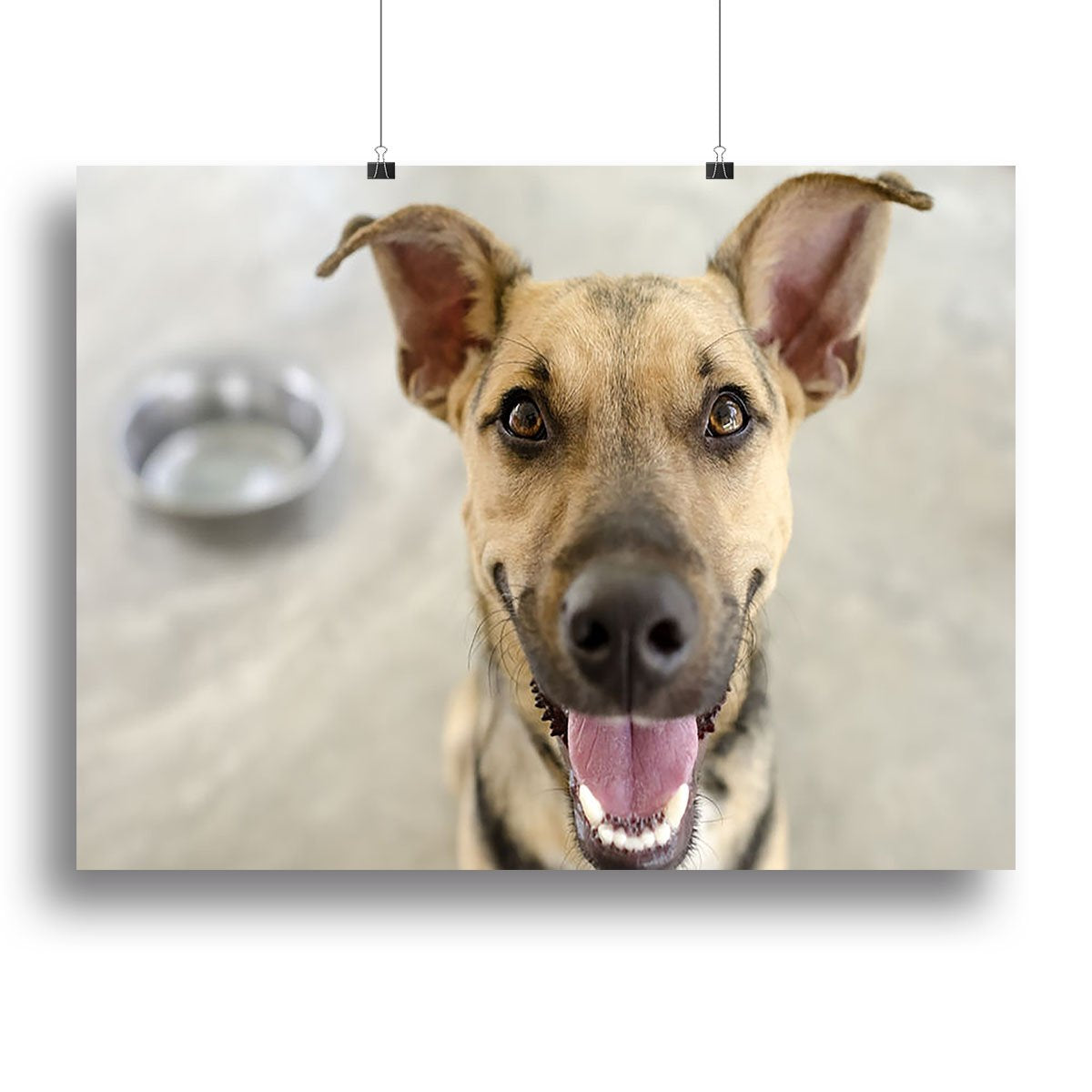 Dog and Bowl Canvas Print or Poster