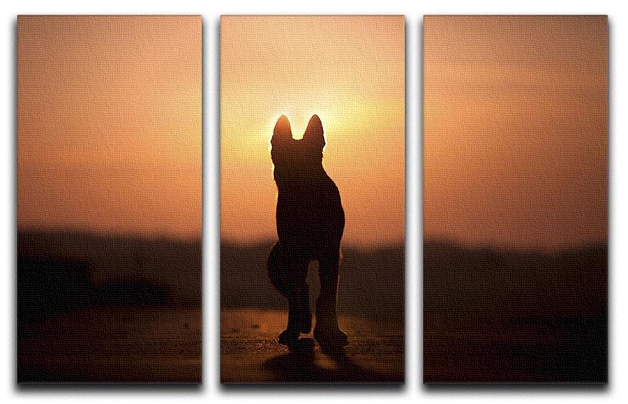 Dog backlight silhouette in sunset 3 Split Panel Canvas Print - Canvas Art Rocks - 1
