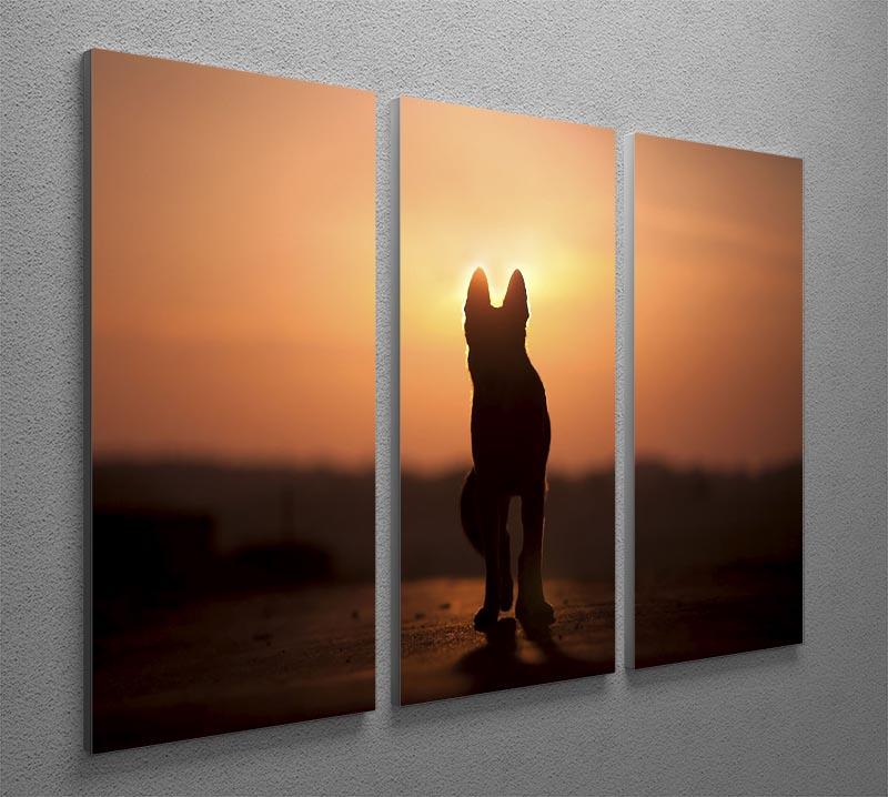 Dog backlight silhouette in sunset 3 Split Panel Canvas Print - Canvas Art Rocks - 2