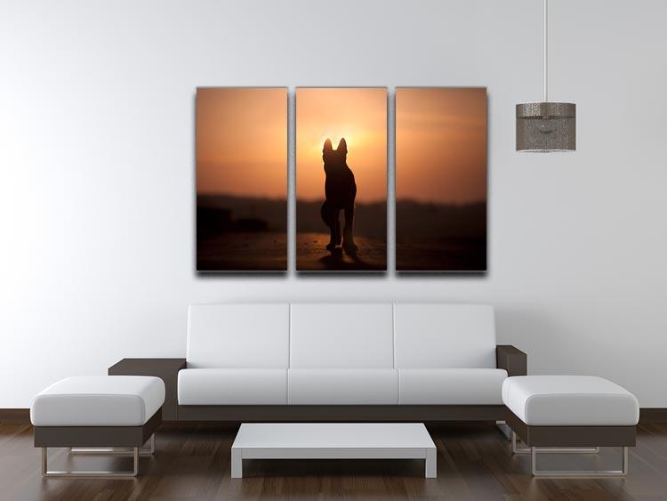 Dog backlight silhouette in sunset 3 Split Panel Canvas Print - Canvas Art Rocks - 3