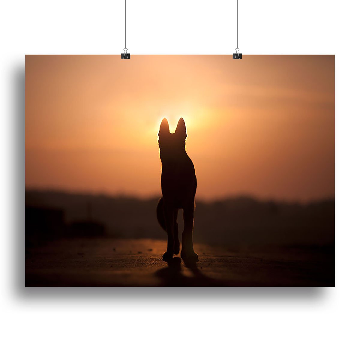 Dog backlight silhouette in sunset Canvas Print or Poster