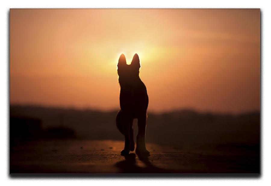 Dog backlight silhouette in sunset Canvas Print or Poster - Canvas Art Rocks - 1