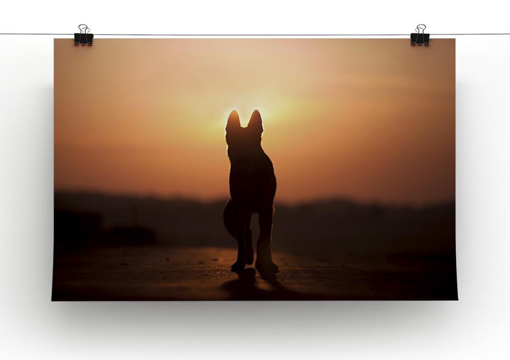 Dog backlight silhouette in sunset Canvas Print or Poster - Canvas Art Rocks - 2