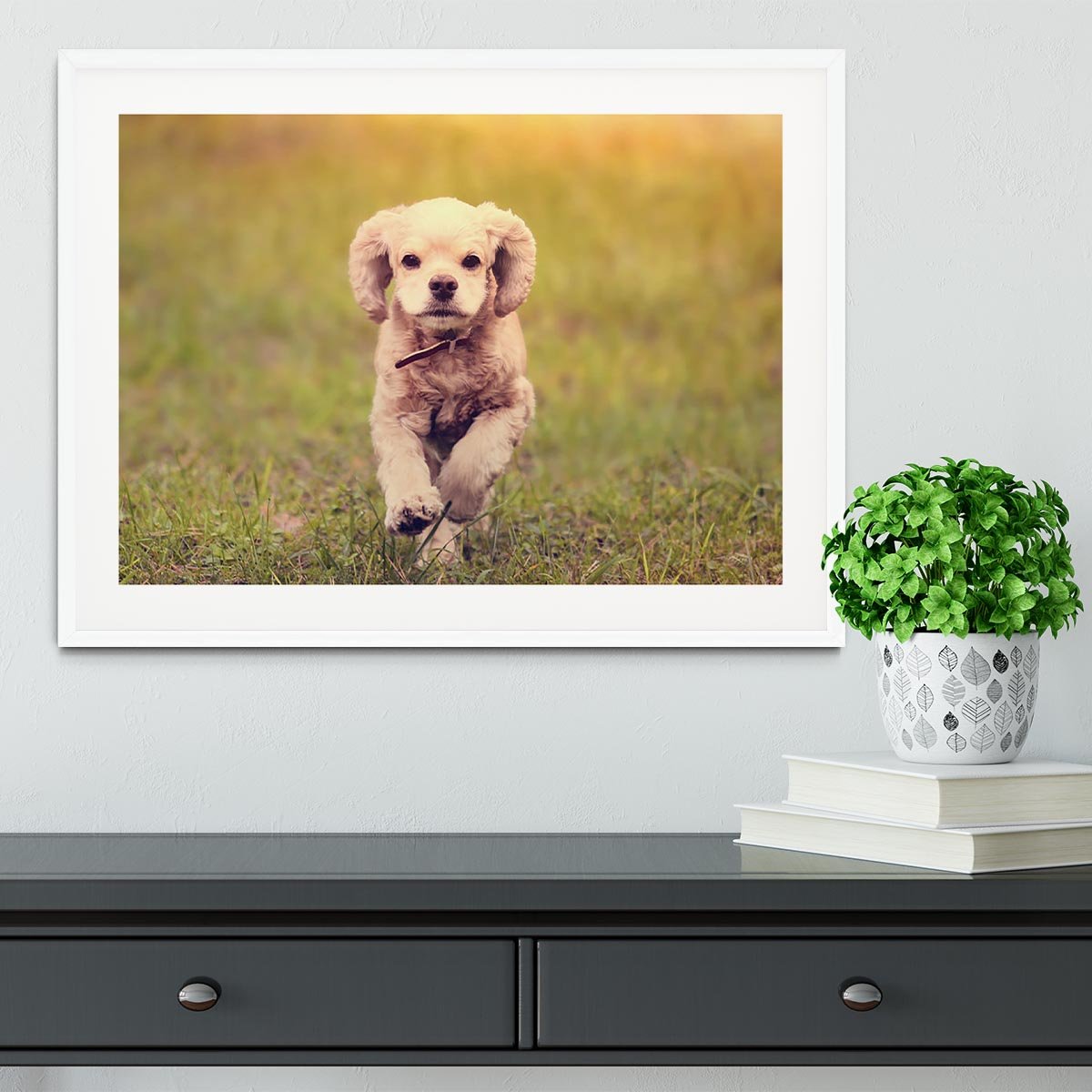 Dog is running at sunset Framed Print - Canvas Art Rocks - 5