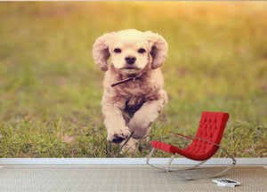 Dog is running at sunset Wall Mural Wallpaper - Canvas Art Rocks - 2