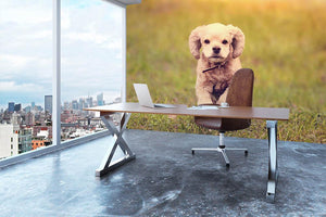 Dog is running at sunset Wall Mural Wallpaper - Canvas Art Rocks - 3