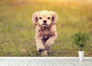 Dog is running at sunset Wall Mural Wallpaper - Canvas Art Rocks - 4