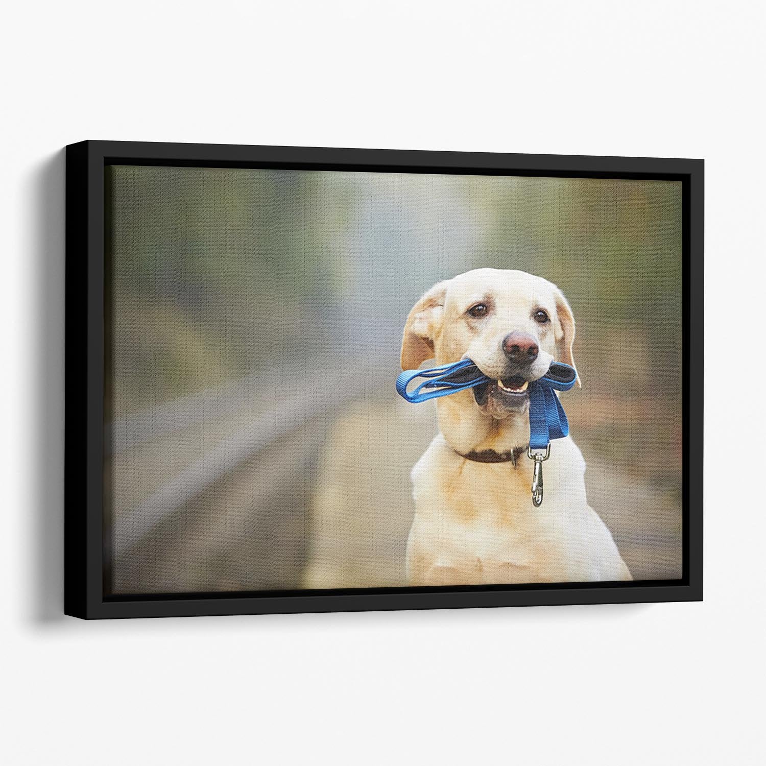 Dog is waiting for the owner on the railway platform Floating Framed Canvas - Canvas Art Rocks - 1