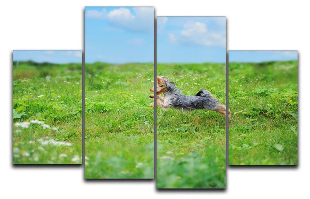 Dog playing in the park 4 Split Panel Canvas - Canvas Art Rocks - 1