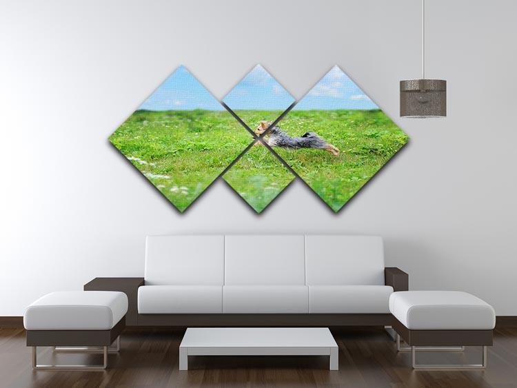 Dog playing in the park 4 Square Multi Panel Canvas - Canvas Art Rocks - 3