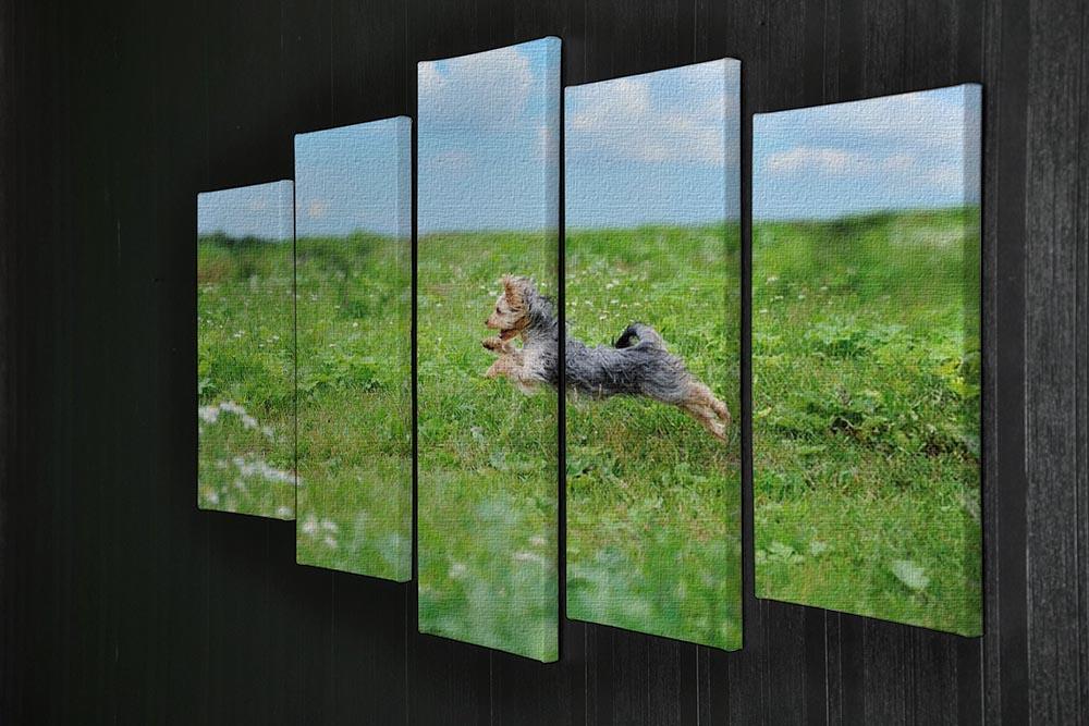 Dog playing in the park 5 Split Panel Canvas - Canvas Art Rocks - 2