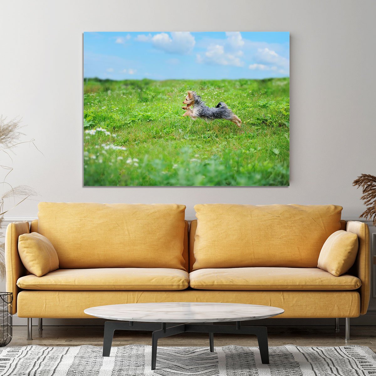 Dog playing in the park Canvas Print or Poster