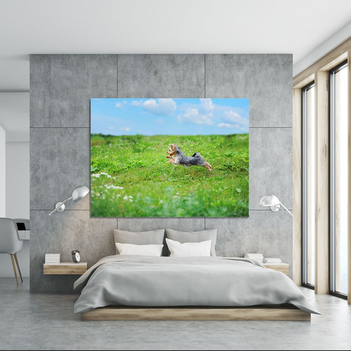 Dog playing in the park Canvas Print or Poster