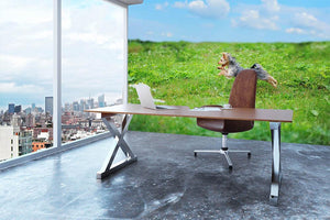 Dog playing in the park Wall Mural Wallpaper - Canvas Art Rocks - 3
