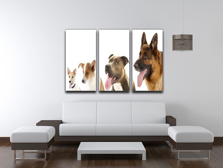 Dogs in row isolated on white 3 Split Panel Canvas Print - Canvas Art Rocks - 3