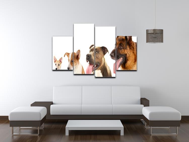 Dogs in row isolated on white 4 Split Panel Canvas - Canvas Art Rocks - 3