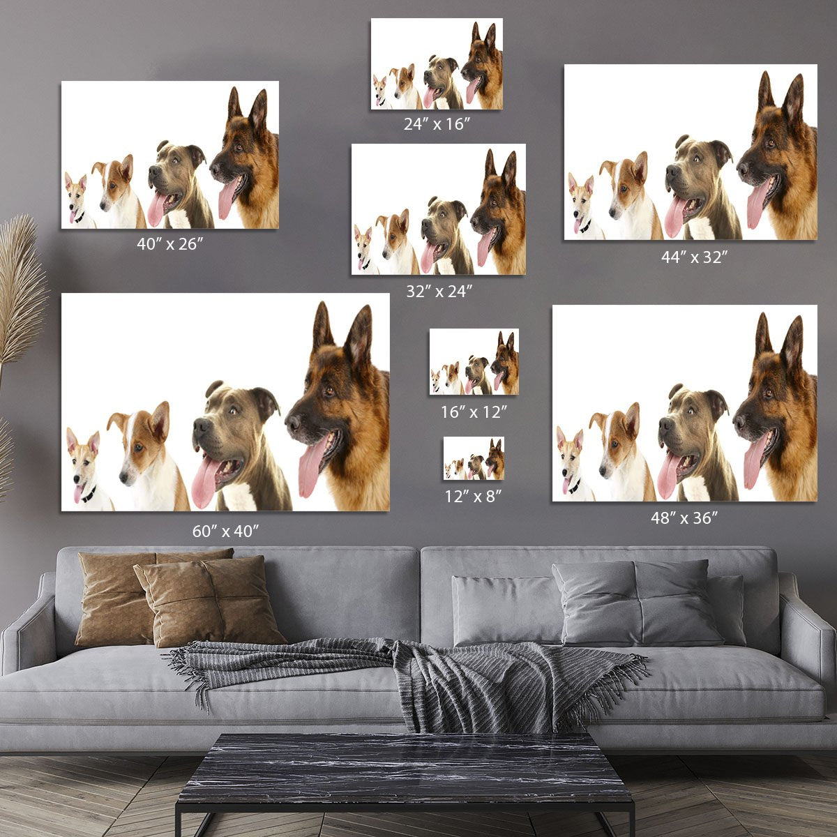 Dogs in row isolated on white Canvas Print or Poster